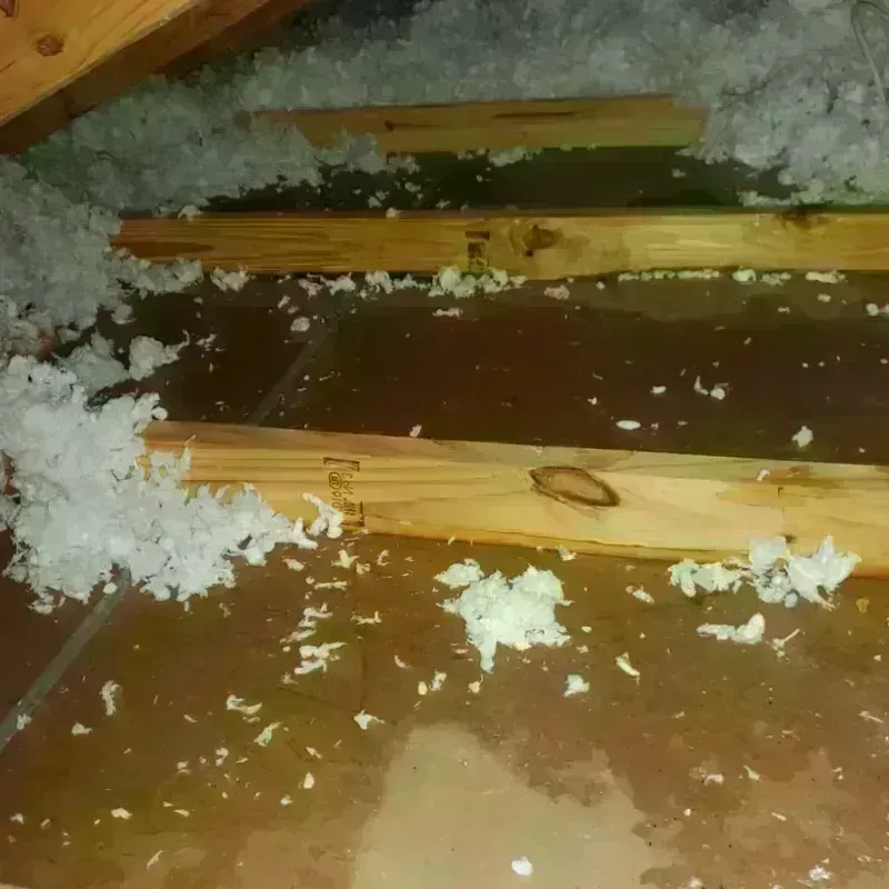 Attic Water Damage in Machias, WA